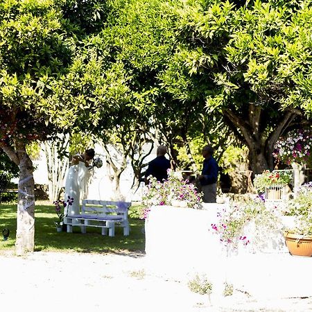 La Purissima Bed and Breakfast Alguer Exterior foto