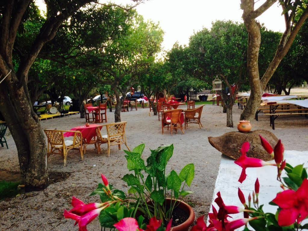 La Purissima Bed and Breakfast Alguer Exterior foto